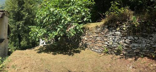 Foto - andere in Mainz