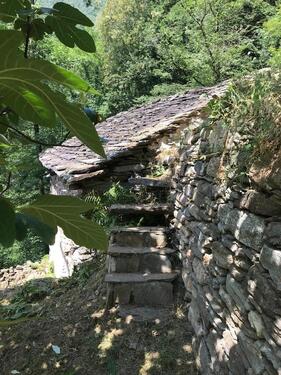 Foto - andere in Mainz zur Miete