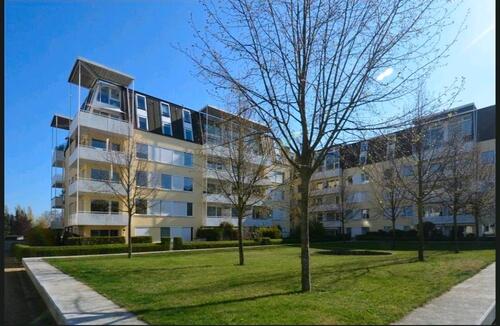 Foto - Gut geschnittene 3-Zimmer-Wohnung (ohne Provision)