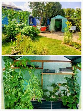 Foto - Grundst&uuml;ck zur Miete in Magdeburg