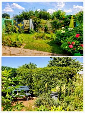 Foto - Grundst&uuml;ck in Magdeburg zur Miete