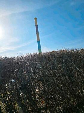 Foto - Grundst&uuml;ck zur Miete in Chemnitz