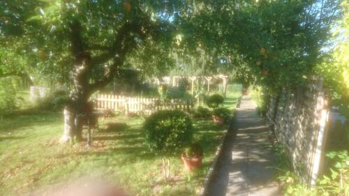 Foto - Schöner KLEINGARTEN in Oldenburg i.H.