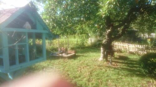 Foto - Grundst&uuml;ck zur Miete in Oldenburg in Holstein