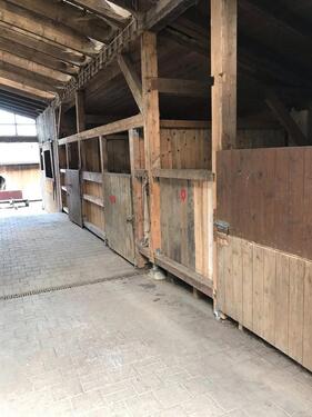 Foto - Einfamilienhaus in Konzell zum Kaufen