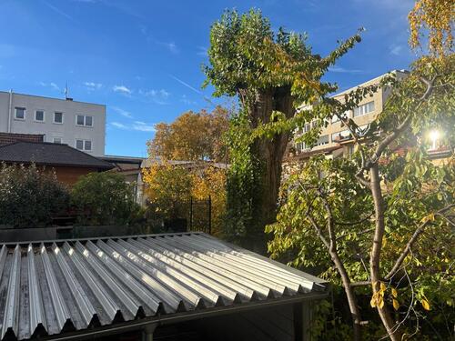 Foto - Kernsanierte 3 Zimmerwohnung in 67433 Neustadt, Hohenzollernstraß