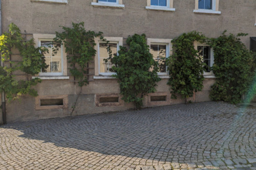 Foto - 3,5 Raum Wohnung auf dem Land im Grünen