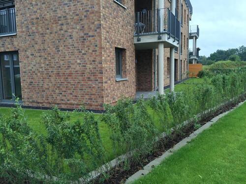 Foto - Etagenwohnung in Lingen (Ems) zum Kaufen