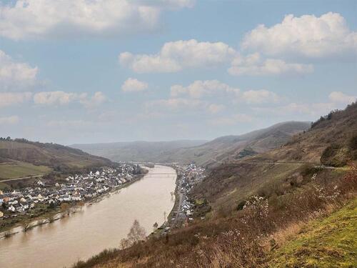Foto - Verpachteter Weinberg im Moseltal