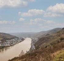 Verpachteter Weinberg im Moseltal - Zell (Mosel)
