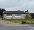 Foto - Freistehender Bungalow, Tierhaltung erwünscht