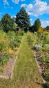 Foto - Garten, Kleingarten in Bischheim ' Am Park' abzugeben