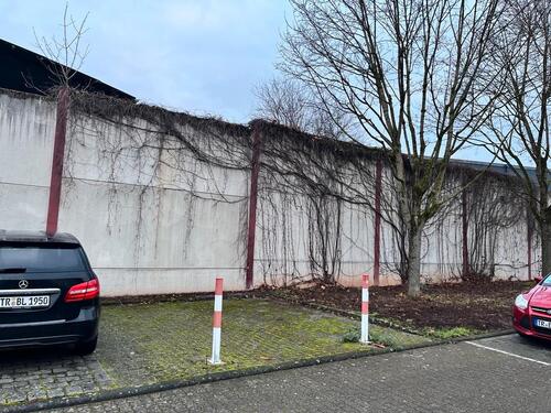 Foto - andere zur Miete in Wiltingen