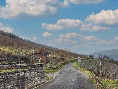 Foto - Weinberg im Moseltal - 2.900,00&nbsp;EUR Kaltmiete, ca.&nbsp; 0,00&nbsp;m&sup2;