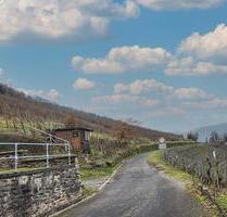 Weinberg im Moseltal - 2.900,00&nbsp;EUR Kaltmiete, ca.&nbsp; 0,00&nbsp;m&sup2; in Zell (Mosel) (PLZ: 56856)