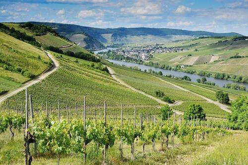 Foto - Grundst&uuml;ck zur Miete in Zell (Mosel)
