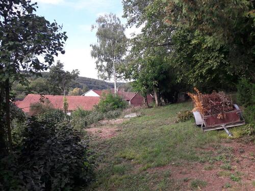 Foto - Einfamilienhaus in Boxberg zum Kaufen