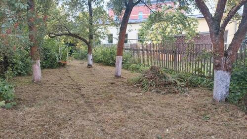 Foto - 4 Zimmer Wohnung 95 qm zu vermieten