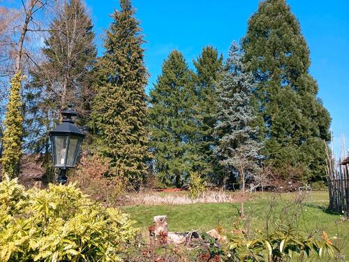 Foto - Baugrundstück, Bauplatz, Baugrund, Bauland