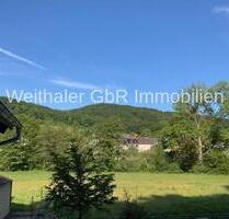 Individuell - Idyll - Toll 3-Zi-Wohnung mit großem Balkon - Erstbezug nach Kernsanierung - Pielenhofen
