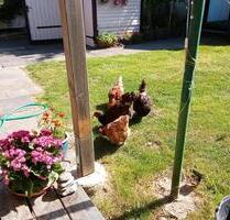 Kleine Wohnung im Obergeschoss - 600,00&nbsp;EUR Kaltmiete, ca.&nbsp; 40,00&nbsp;m&sup2; in Süderbrarup (PLZ: 24392)