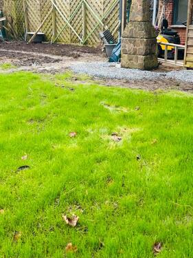 Foto - andere in Wöhrden zur Miete