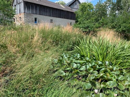 Foto - Bauernhaus, Landhaus in Konradsreuth zum Kaufen