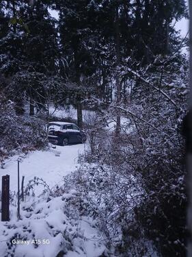 Foto - Einfamilienhaus zum Kaufen in Steinbach am Donnersberg
