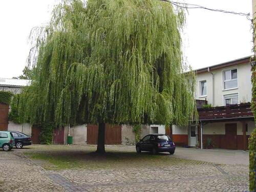 Foto - 2 Zimmer Etagenwohnung in Schönebeck (Elbe)