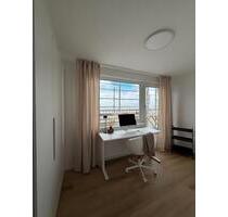 möbliertes Penthouse, Erstbezug, hell, mit 3 Zimmern Frankenthal - Frankenthal (Pfalz)