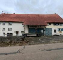 Doppelhaus mit Ökonomieteil, 3 Wohnungen und Garten - Dietingen