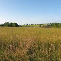 Foto - Wiesengrundstück für Naturliebhaber