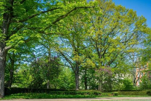Foto - Dachgeschoßwohnung in Chemnitz zur Miete