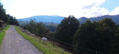 Foto - Frühjahrs-Schnäppchen! 630qm Freizeitgrundstück nahe der Murg