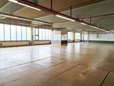 Foto - Große Lagerhalle in Göppingen – Mit Lastenaufzug, ab 4EURm²