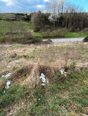 Foto - Grundst&uuml;ck in Ilsfeld zur Miete