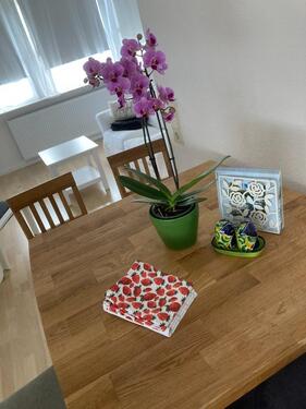 Foto - Charmante Ferienwohnung buedchen33 in Eldingen