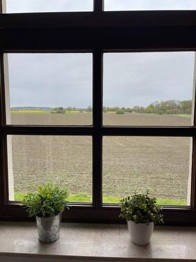 Foto - Möbliert und naturnah wohnen auf Zeit in RE-Suderwich