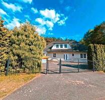 Haus zu verkaufen Top Lage, Luftkurort Hitzacker Wendland - Hitzacker (Elbe)