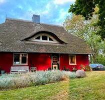 Reetdachhaus (139qm) in Mecklenburg Vorpommern - Löbnitz Reetdachhaus (139qm) in Mecklenburg Vorpommern - Löbnitz