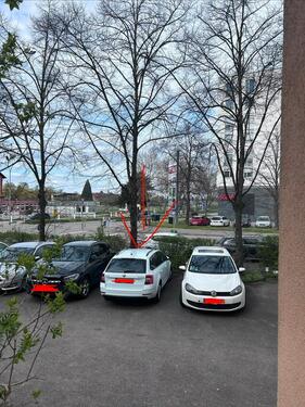 Foto - andere in Freiburg im Breisgau
