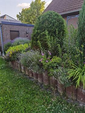 Foto - Einfamilienhaus in Salzgitter zum Kaufen