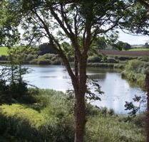 Wohnen direkt am See in Honigsee - Preetz