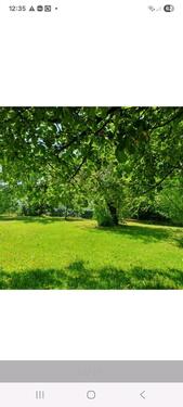 Foto - Einfamilienhaus in Schöllnach zum Kaufen