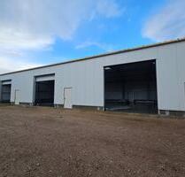 Neubau-Lagerhalle mit flexiblen Nutzungsmöglichkeiten in Hammah – zur Miete