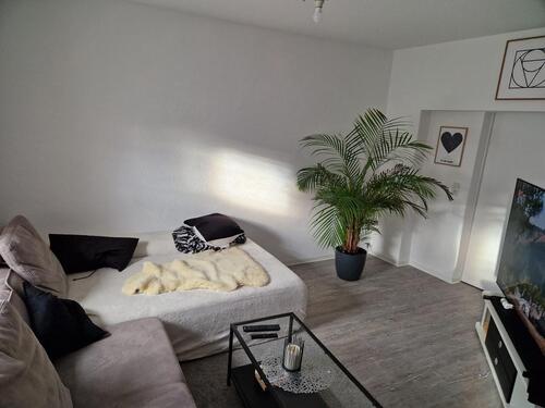 Foto - 3 Zimmer Erdgeschoßwohnung zur Miete in Morbach