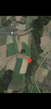 Foto - Waldgrundstück Gemeinde Kirchendemenreuth