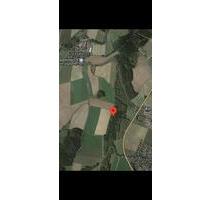 Waldgrundstück Gemeinde Kirchendemenreuth - Altenstadt an der Waldnaab