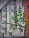 Foto - 2-Zi Wohnung in KN - ZENTRUMSNAH