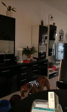 Foto - Nachmieter für eine 2 Zimmerwohnung Erdgeschoss